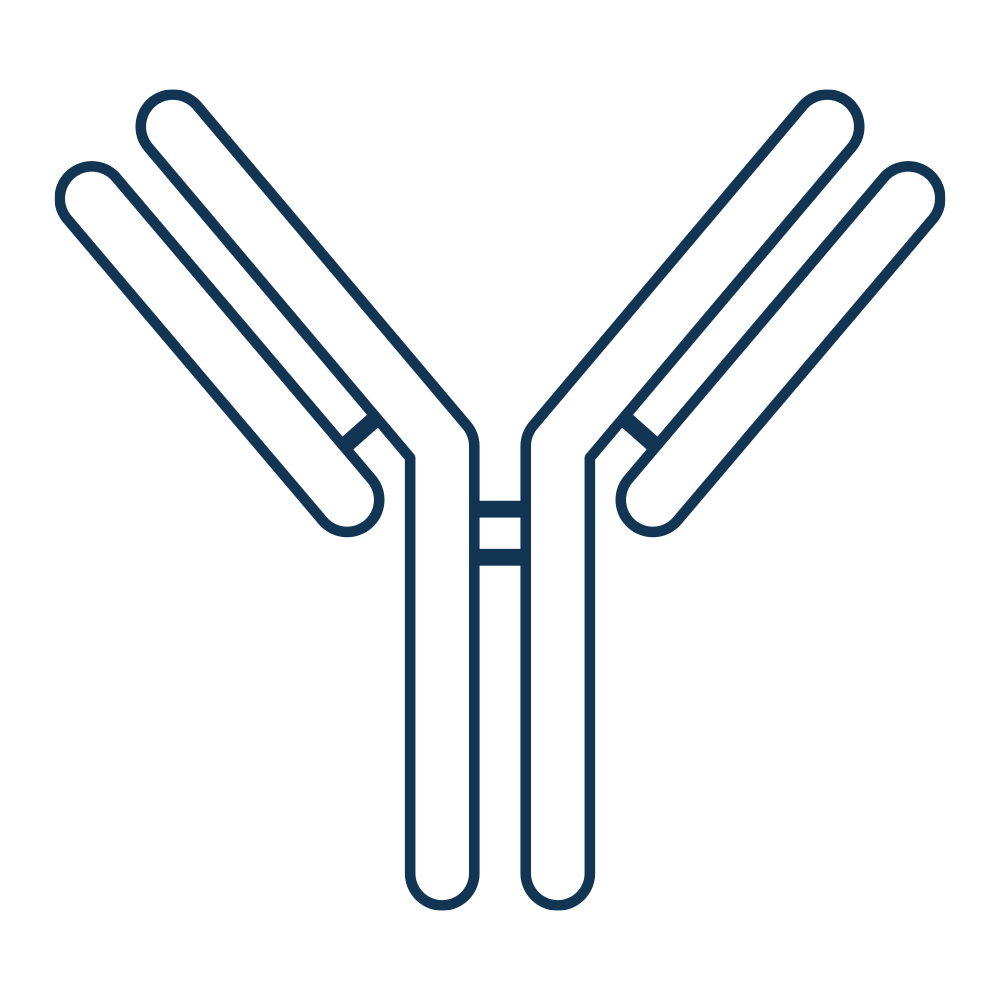 https://www.mybios.at/wp-content/uploads/2021/12/antibody.png